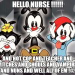 animaniacs | HELLO NURSE !!!!!! AND HOT COP AND TEACHER AND WITCHES AND GHOULS AND VAMPIRES AND NUNS AND WELL ALL OF EM !@! | image tagged in animaniacs | made w/ Imgflip meme maker