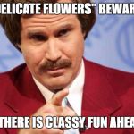 Stay Classy | "DELICATE FLOWERS" BEWARE! ...THERE IS CLASSY FUN AHEAD | image tagged in stay classy | made w/ Imgflip meme maker