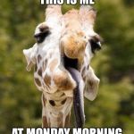 Derp giraffe  | THIS IS ME; AT MONDAY MORNING | image tagged in derp giraffe | made w/ Imgflip meme maker