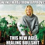 paltrow 2 | GWYNETH PALTROW APPROVES; THIS NEW AGE HEALING BULLSHIT | image tagged in paltrow 2 | made w/ Imgflip meme maker