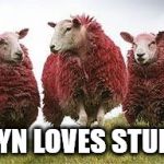 Corbyn loves students | CORBYN LOVES STUDENTS | image tagged in labour corbyn student sheep | made w/ Imgflip meme maker