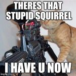 cat with gun | THERES THAT STUPID SQUIRREL; I HAVE U NOW | image tagged in cat with gun | made w/ Imgflip meme maker
