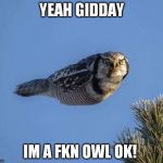 Angry bird Owl | YEAH GIDDAY; IM A FKN OWL OK! | image tagged in angry bird owl | made w/ Imgflip meme maker