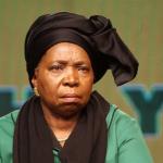 Dlamini Zuma