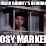 nosy old lady | I'M MARK BUNNEY'S NEIGHBOUR; NOSY MARKER! | image tagged in nosy old lady | made w/ Imgflip meme maker