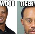 Good Tiger, Bad Tiger | TIGER WON'T; TIGER WOOD | image tagged in tiger woods side by side | made w/ Imgflip meme maker