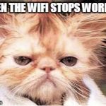Stressed Cat | WHEN THE WIFI STOPS WORKING | image tagged in stressed cat | made w/ Imgflip meme maker