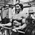 Arnold Biceps Curl