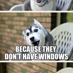 husky puppy | DON'T FART IN A APPLE STORE; BECAUSE THEY DON'T HAVE WINDOWS | image tagged in husky puppy | made w/ Imgflip meme maker