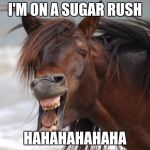 Hilarious Horse | I'M ON A SUGAR RUSH; HAHAHAHAHAHA | image tagged in hilarious horse | made w/ Imgflip meme maker