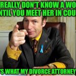 One painful lesson after another... | YOU REALLY DON'T KNOW A WOMAN UNTIL YOU MEET HER IN COURT; (THAT'S WHAT MY DIVORCE ATTORNEY SAID) | image tagged in better call saul,divorce,lawyer | made w/ Imgflip meme maker