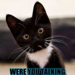 black kitten spotting something | WAIT.. WERE YOU TALKING TO ME? | image tagged in black kitten spotting something | made w/ Imgflip meme maker