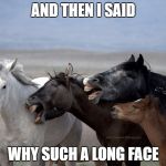 Horse Laugh | AND THEN I SAID; WHY SUCH A LONG FACE | image tagged in horse laugh | made w/ Imgflip meme maker