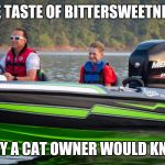 #bassboatface | THE TASTE OF BITTERSWEETNESS; ONLY A CAT OWNER WOULD KNOW | image tagged in bassboatface | made w/ Imgflip meme maker