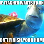 crush finding nemo | WHEN THE TEACHER WANTS TO KNOW WHY; YOU DIDN'T FINISH YOUR HOMEWORK | image tagged in crush finding nemo | made w/ Imgflip meme maker