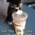 Thirsty kitten | I know I'm gonna get wired; but  hey,  it's  Friday,  Give  me  a  break ! | image tagged in thirsty kitten | made w/ Imgflip meme maker