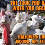 beer turkey | THE  LOOK  YOU  HAVE  WHEN  YOU  REALIZE; HALLOWEEN  JUST PASSED,  HEY  FELLAS | image tagged in beer turkey | made w/ Imgflip meme maker