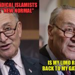 Chuck Schumer | YOU MUST ACCEPT RADICAL ISLAMISTS KILLING YOU AS THE "NEW NORMAL"; IS MY LIMO READY SO I CAN GO BACK TO MY GATED NEIGHBORHOOD | image tagged in chuck schumer | made w/ Imgflip meme maker
