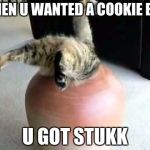 stuck cat | WHEN U WANTED A COOKIE BUT; U GOT STUKK | image tagged in stuck cat | made w/ Imgflip meme maker