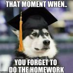 educated husky | THAT MOMENT WHEN.. YOU FORGET TO DO THE HOMEWORK | image tagged in educated husky | made w/ Imgflip meme maker