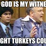 WKRP Turkey | AS GOD IS MY WITNESS; I THOUGHT TURKEYS COULD FLY | image tagged in wkrp turkey | made w/ Imgflip meme maker