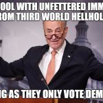 Chuck Schumer | TOTALLY COOL WITH UNFETTERED IMMIGRATION FROM THIRD WORLD HELLHOLES; AS LONG AS THEY ONLY VOTE DEMOCRAT | image tagged in chuck schumer | made w/ Imgflip meme maker