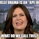 sarah-huckabee-sanders-wtf | IF MICHELLE OBAMA IS AN "APE IN HEELS"; WHAT DO WE CALL THIS? | image tagged in sarah-huckabee-sanders-wtf | made w/ Imgflip meme maker