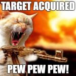 nice kitty... good kitty... | TARGET ACQUIRED; PEW PEW PEW! | image tagged in cat with gun,pew pew pew | made w/ Imgflip meme maker