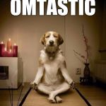 yoga dig | OMTASTIC | image tagged in yoga dig | made w/ Imgflip meme maker