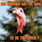 turkey head | DID  SOMEONE  SAY  THE  BIRD; IS  IN  THE  OVEN ? | image tagged in turkey head | made w/ Imgflip meme maker