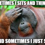 Facepalm Orangutan | SOMETIMES I SITS AND THINKS ... ...  AND SOMETIMES I JUST SITS. | image tagged in facepalm orangutan | made w/ Imgflip meme maker