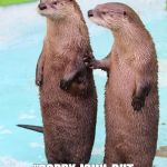 Otter Friends | "WE'RE IN THIS TOGETHER, MIGGZ,!"; "SORRY, JOHN, BUT I'M TIRED OF THROWING OUT FOOD. SO MUCH WASTE." | image tagged in otter friends | made w/ Imgflip meme maker