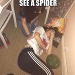 True that | WHEN YOU SEE A SPIDER | image tagged in scared half to death,memes,spiders | made w/ Imgflip meme maker