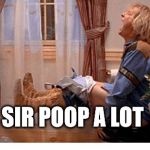 harry poop | SIR POOP A LOT | image tagged in harry poop | made w/ Imgflip meme maker