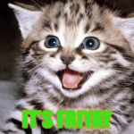 Happy Cat | IT’S FRIYAY | image tagged in happy cat | made w/ Imgflip meme maker