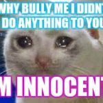 cat crying | WHY BULLY ME I DIDNT  DO ANYTHING TO YOU; IM INNOCENT | image tagged in cat crying | made w/ Imgflip meme maker