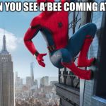 Spider Man Avenger | WHEN YOU SEE A BEE COMING AT YOU | image tagged in spider man avenger | made w/ Imgflip meme maker