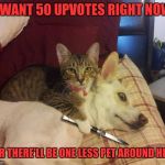 cat, dog & knife | I WANT 50 UPVOTES RIGHT NOW; OR THERE'LL BE ONE LESS PET AROUND HERE | image tagged in cat dog & knife | made w/ Imgflip meme maker