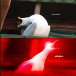 inhaling swan meme