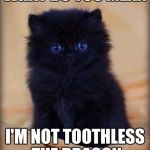 insanely cute kitten | WHAT DO YOU MEAN; I'M NOT TOOTHLESS THE DRAGON | image tagged in insanely cute kitten | made w/ Imgflip meme maker
