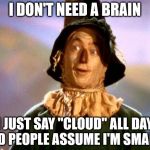 Brains! | I DON'T NEED A BRAIN; I JUST SAY "CLOUD" ALL DAY AND PEOPLE ASSUME I'M SMART ! | image tagged in brains | made w/ Imgflip meme maker