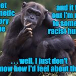 Try to see things from the other critter's point of view. | and it turns out I'm related to some white racist humans . . . If I get my genetic history done; . . . well, I just don't know how I'd feel about that. | image tagged in female chimp thinking,racism,memes | made w/ Imgflip meme maker