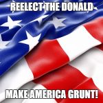 Reelect The Donald. Make America Grunt. | REELECT THE DONALD; MAKE AMERICA GRUNT! | image tagged in leather american flag,make america great,the donald,american grunt,make america grunt | made w/ Imgflip meme maker