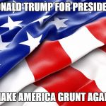 Donald Trump For President.
Make America Grunt Again. | DONALD TRUMP FOR PRESIDENT; MAKE AMERICA GRUNT AGAIN | image tagged in trump,the donald,potus,make america great again,make america grunt again | made w/ Imgflip meme maker