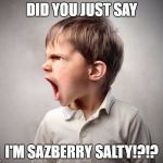 Sazberry Salty | DID YOU JUST SAY; I'M SAZBERRY SALTY!?!? | image tagged in sazberry salty | made w/ Imgflip meme maker