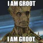 I am Groot | I AM GROOT; I AM GROOT. | image tagged in i am groot | made w/ Imgflip meme maker