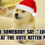 Christmas Doge | DID  SOMEBODY  SAY , " LOOK  AT  THE  CUTE  KITTEN ? | image tagged in christmas doge | made w/ Imgflip meme maker