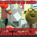 muppets  | AND WITH THE HELP OF MY FRIEND BEAKER; WE WILL TEST THE EFFECT OF HYDROCHLORIC ACID ON MALE GENITALIA | image tagged in muppets | made w/ Imgflip meme maker