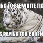 White Tiger | PAYING TO SEE WHITE TIGERS; IS PAYING FOR CRUELTY; 1 | image tagged in white tiger | made w/ Imgflip meme maker