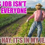 Scarecrow in field | THIS JOB ISN'T FOR EVERYONE; BUT HAY, IT'S IN MY JEANS | image tagged in scarecrow in field | made w/ Imgflip meme maker